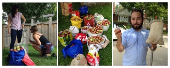 A series of three photos showing women weighing bags of apples, bags of apples and man holding an apple