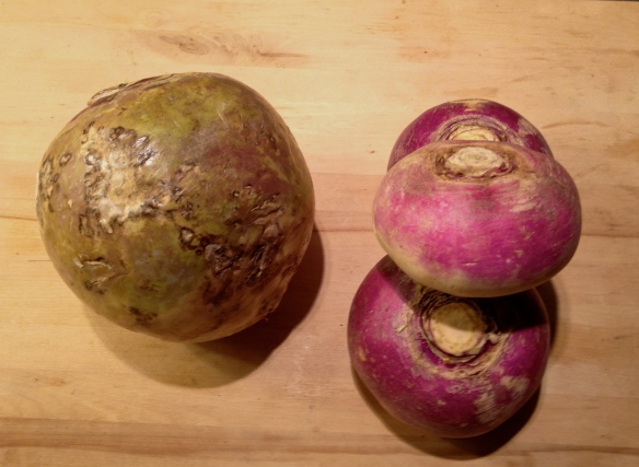 Rutabaga and turnips